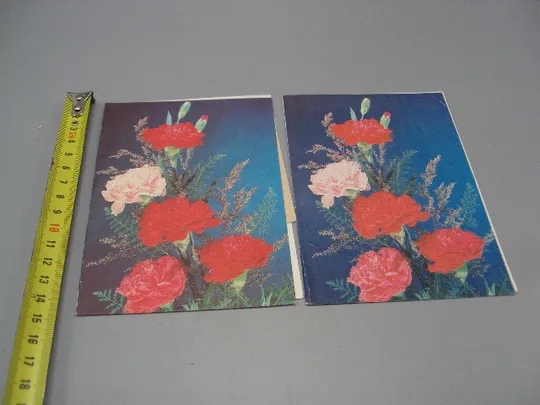 Открытка телеграмма цветы гвоздики фото И. Дергилева лот 2 шт №16157 Ціна