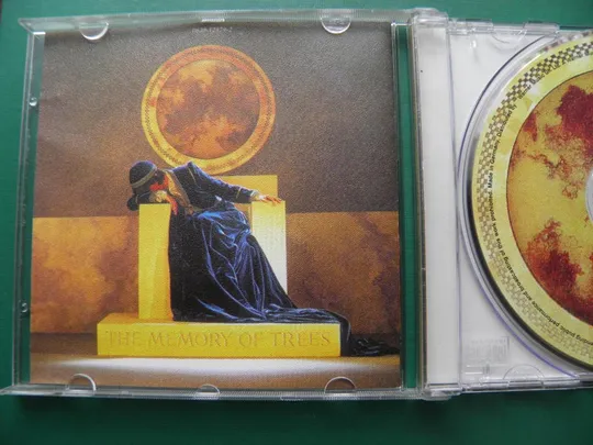 Enya 1995 CD/Audio CD Продаж