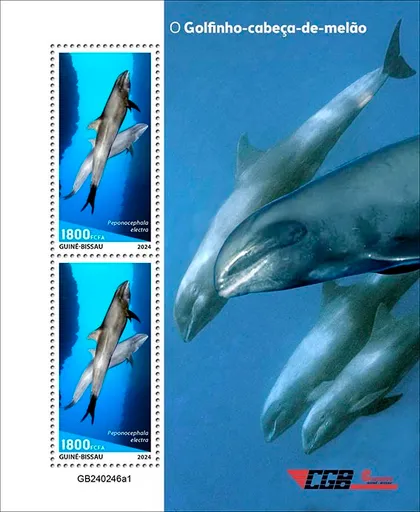 фото, Гвинея Бисау-Дынноголовый Кит-2024. Чистый полный комплект.MNH.