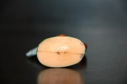 индеец ГДР №112 НАНУНТЕНУ Артур Риделер ARI толстяк З аукціону