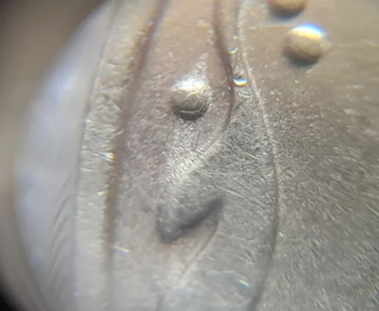 (6487) 50 копійок 2008 лишній метал на елементах зображення на реверсі (50 копеек 2008 брак) Де купити