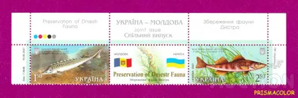фото, ** УКРАИНА 2007 верх листа Фауна Украина-Молдавия рыбы