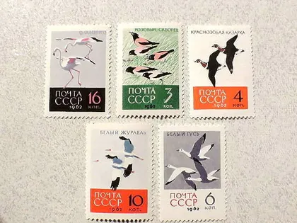 фото, Серія поштових марок СССР " Птахи " 1962 рік **