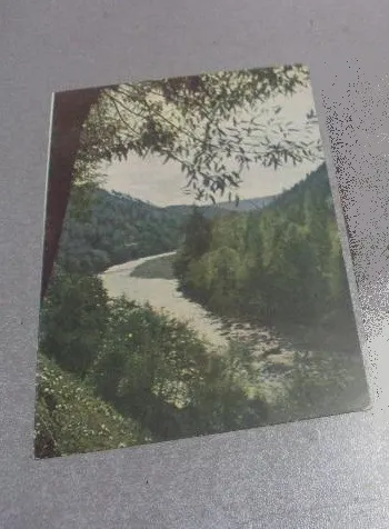 Открытка Станиславская область Горная река фото Кузьменка, Билозерова 1960 №1146 Ціна