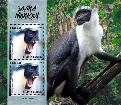 фото, Сьерра Леоне-Обезьяна Диана-2024. Чистый полный красивый комплект. MNH.