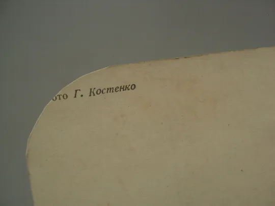 Открытка цветы георгин фото Г. Костенко 1983 год чистая №18059 Інтернет-аукціон
