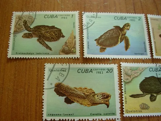 Купити 1983.Куба