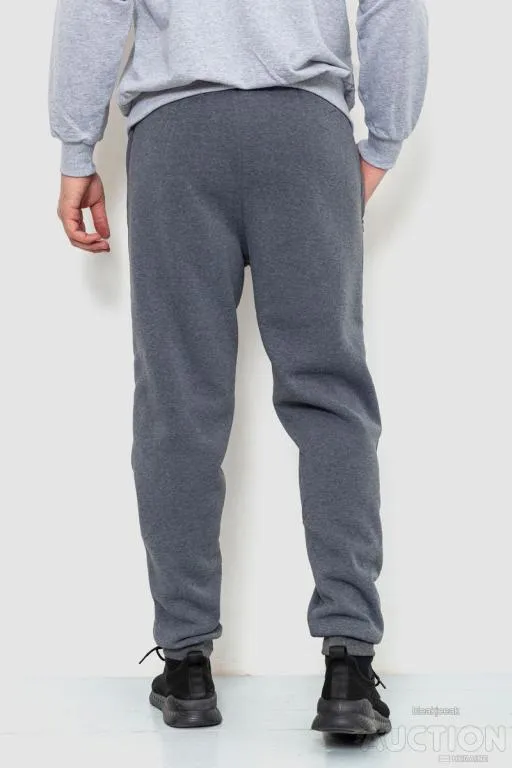 Спорт штаны мужские на флисе, цвет серый, 244R41515 Продаж