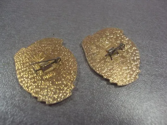 знак 60 лет кпм мсср молдавия лот 2 шт №5401 Продаж