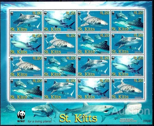 St.Kitts-Акулы - WWF-2007 Чистый полный красивый комплект. MNH. Продаж
