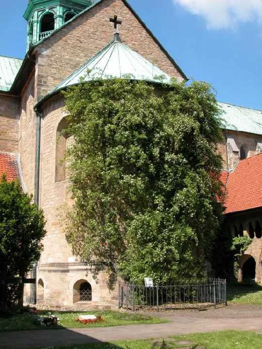 Срібні ложечки Rose 2 шт. #3 800 проба Germany Інтернет-аукціон