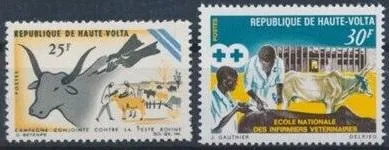 фото, Верхняя Вольта Фауна Корова Ветеринарная медицина