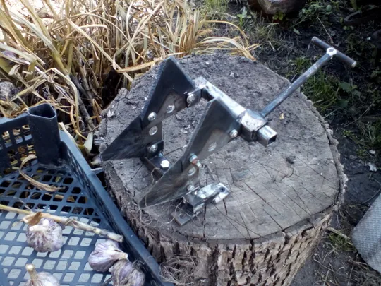 Обрізаємо часник - гуляючи! Де купити