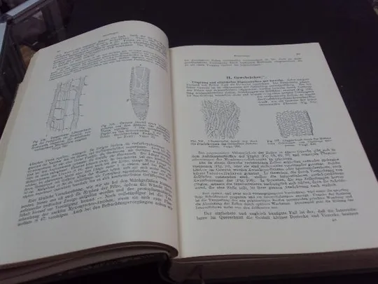 книга Eduard Strasburger учебник по ботанике, lehrbuch der botanik 1908 №68 Інтернет-аукціон