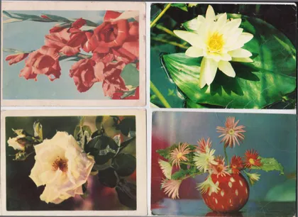 фото, ЦВЕТЫ = открытки 1960 - 1970-х гг. = издательство РАДЯНСЬКА УКРАЇНА = 8 шт. #