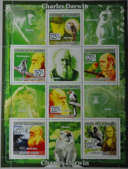 фото, Коморы Фауна Дарвин 2009