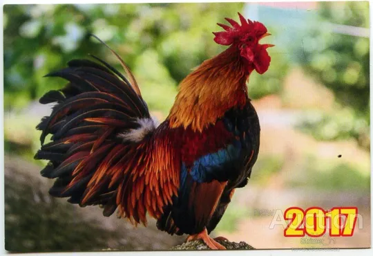 Календарик карманный Петух 2017 #1 Ціна