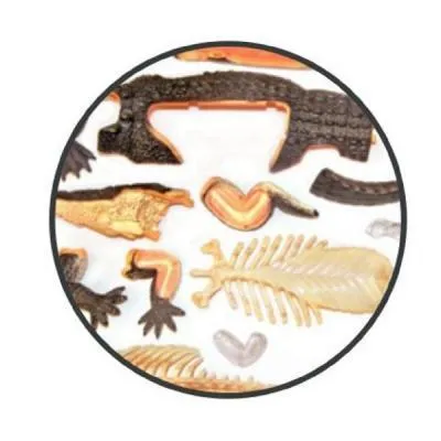 Пазл 4D Master Объемная анатомическая модель Крокодил (FM-622034) З аукціону