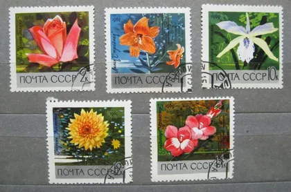 фото, ЦВЕТЫ БОТАНИЧЕСКОГО САДА = 1969 р. = гаш. &