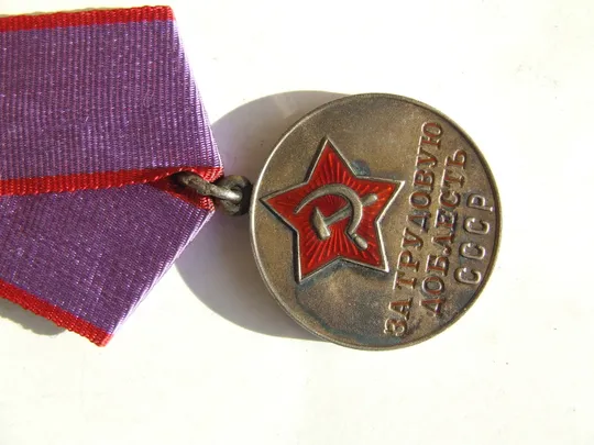 Медаль Трудовая доблесть + доки нагр. 1976 года на Яхимович Тамара . Люкс. В родной патине. Продаж