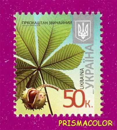 фото, ** УКРАИНА 2012 N1181 марка 8-ой Стандарт 0,50 Каштан Флора