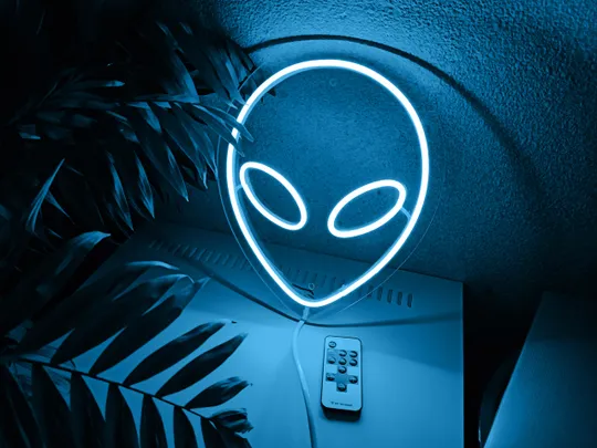 Неоновий світильник Прибулець 240х295 acr-n000003 Недорого