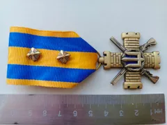 фото, RRR! Заохочувальна відзнака МОУ Медаль «Хрест Сил територіальної оборони»