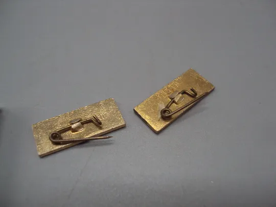 Знак Брест архитектура Беларусь лот 2 шт №16964 З аукціону