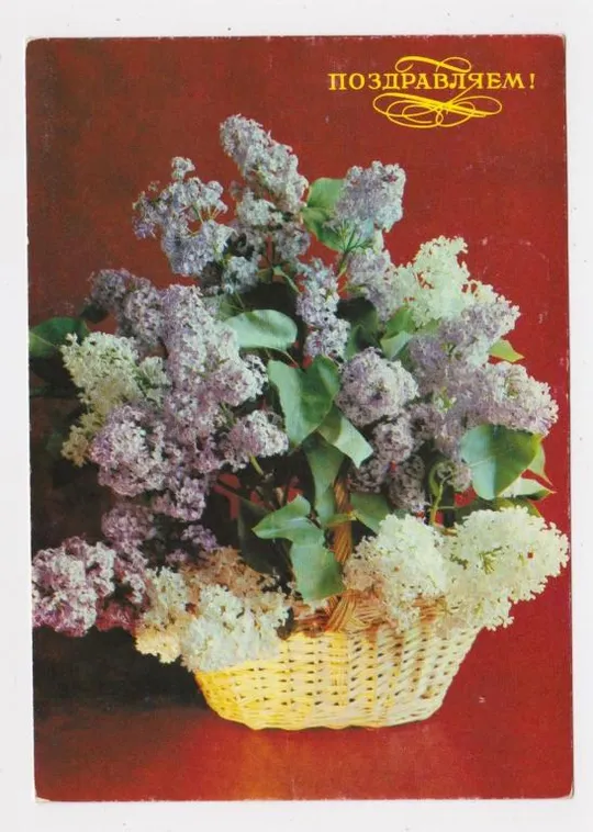 ПОЗДОРОВЛЯЄМО - ПОЗДРАВЛЯЕМ = ДМПК 1991-1992 р. = КОСТЕНКО = чиста = ПРОВІЗОРІЇ == Ціна