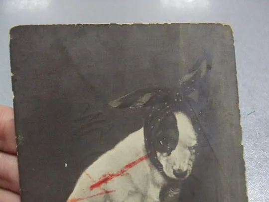 открытка сегодня не здоровится, винница 1911 №1390 З аукціону