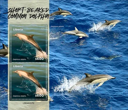 фото, Либерия-Касатки-2024.Чистый полный красивый комплект. MNH.
