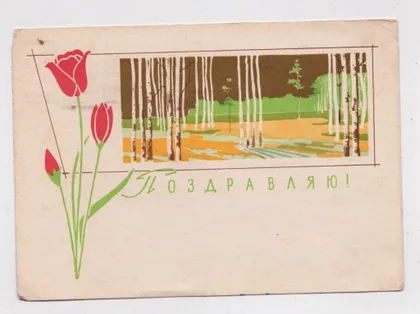фото, ПОЗДРАВЛЯЮ = ДМПК 1963 р. = ШАРОВА = п/п = ШТАМП индексация МОСКВА ==