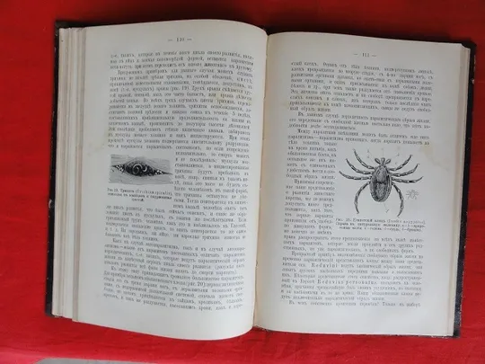 Популярні біологічні нариси. В. Шимкевич. 1898р. Недорого