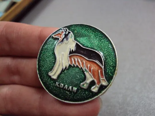 знак детский собака колли круглый №4669 З аукціону