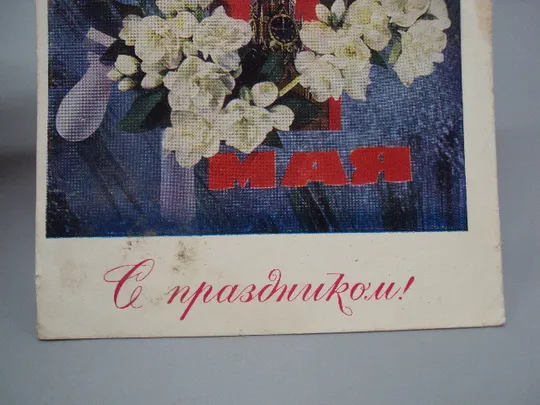 Открытка С праздником 1 мая серп и молот цветы фото И. Дергилев 1973 год №17955 З аукціону