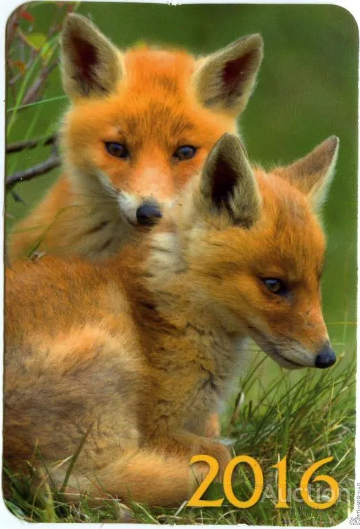 Календарик карманный Лисята 2016 Ціна