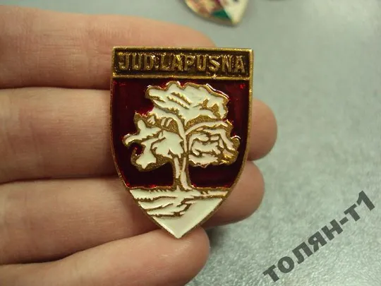 знак герб молдавия каlarasi-тirg сetatea-аlbа Jud. Lapusn лот 3 шт №11125 Продаж