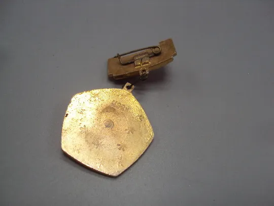 Знак Ленин ленин портрет профиль подвесной ссср №17615 З аукціону