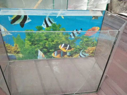 Акваріум для ремонту. 60 і 80 л. Скло для акваріуму вирізане. Інтернет-аукціон