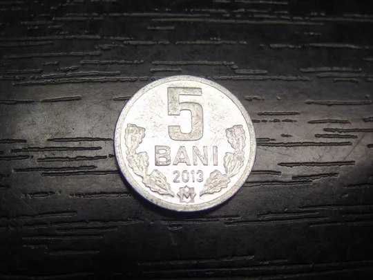 5 бані 2013 Молдова Ціна