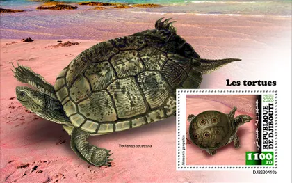 фото, Джибути- Черепахи-2023.Чистый полный красивый комплект.MNH.