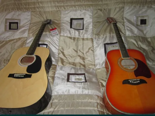 Stagg SW201N Вестерн Недорого