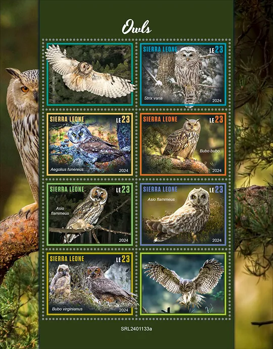 Сьерра Леоне-Птицы-Совы-2024.Чистый полный красивый комплект.MNH Ціна