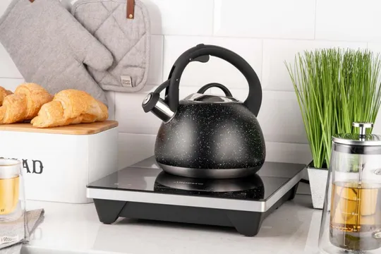 Чайник со свистком Ardesto Gemini AR-1957-KS 2.5 л черный З аукціону