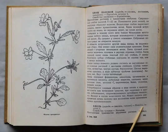 Книга - Зеленая аптека - 1976 рік - Н. Дядык, В. Коколо в Україні