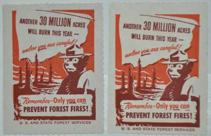 фото, CША Непочтовые Лес Пожар Медведь 1938