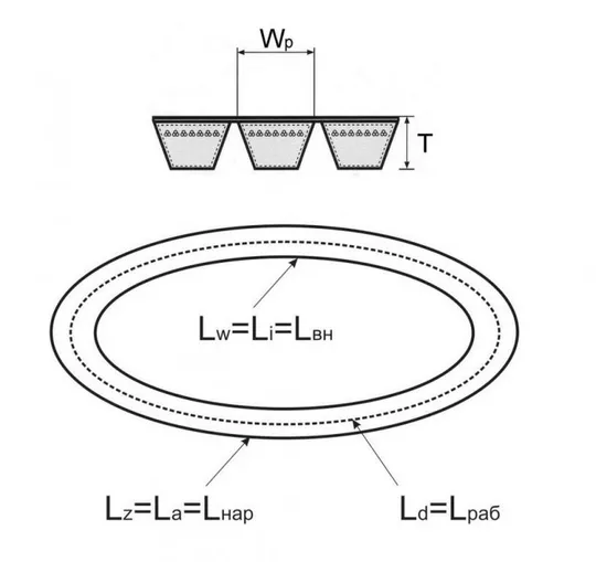 Купити Ремень приводной многоручейный 3НВ-2400 LA (2368 LE) импортный