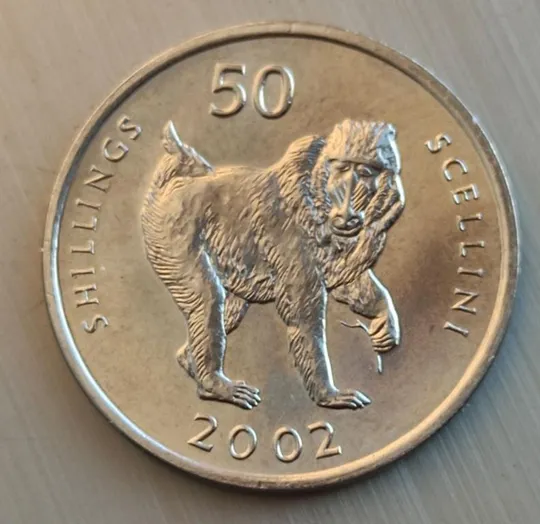 Купити Гамадрил Монета 50 шиллингов Сомали 2002 Год Обезьяны  БЛЕСТИТ nf836