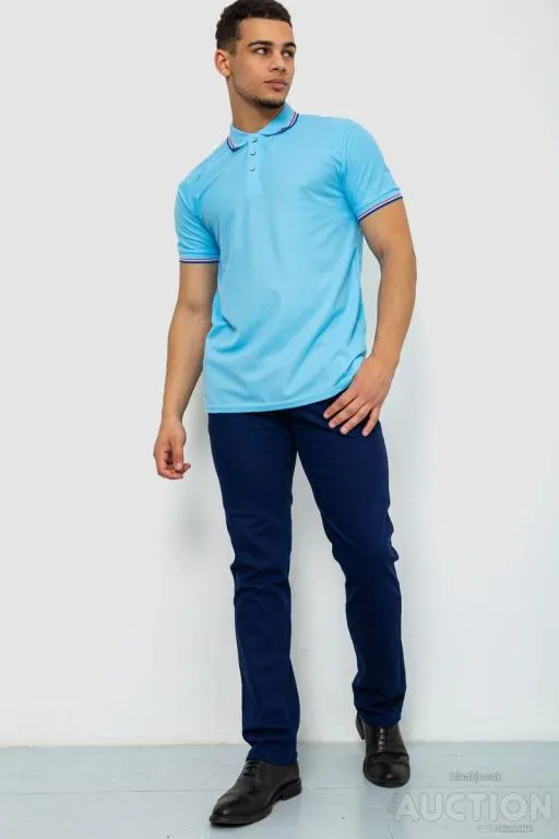 Купити Поло мужское однотонное, цвет голубой, 243RA25