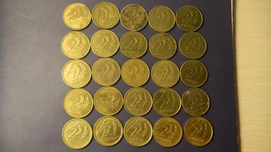 Купити 2 гроша Польща (порічниця) 25шт, всі різні